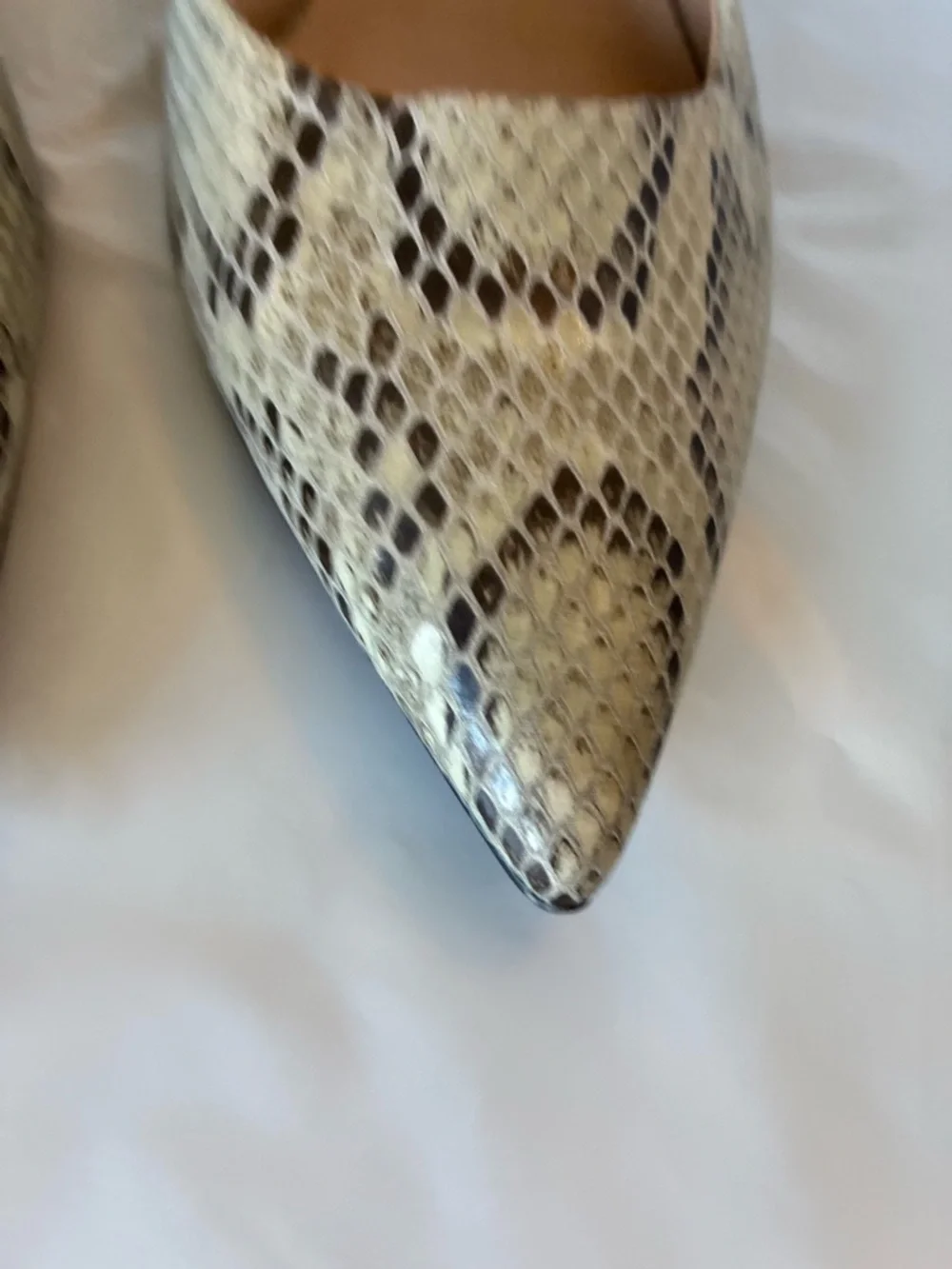 FRANCO SARTO pump romi gray snake print Sz 8.5